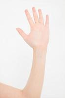 hand isolated on white.Voting hand. Mock up. Copy space. Template. Blank. photo