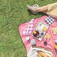 vista aérea, mujer, pierna, desayuno, picnic, pasto verde