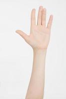 hand isolated on white.Voting hand. Mock up. Copy space. Template. Blank. photo