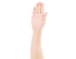male hand isolated on white background,voting hand photo
