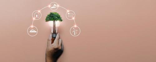 Hand holding light bulb with big tree on pink background with icons energy sources for renewable, solar cells energy , sustainable development. Ecology and environment concept.