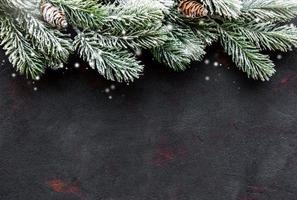 Christmas holiday background photo