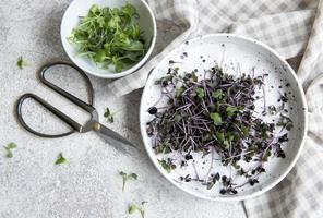 Assortment of micro greens on wooden table photo