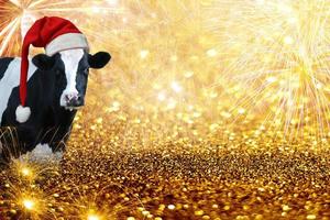 vaca, fuegos artificiales, año nuevo, saludo., nuevo, año nuevo, saludos., dorado, brillo, plano de fondo