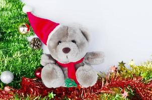 Close up of Teddy and fir branches decoration on white backgrounds photo