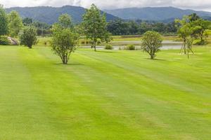 Landscape of Green lawn in a beautiful garden photo