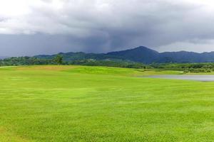 Landscape of Green lawn in a beautiful garden photo