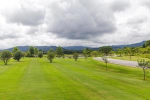 Landscape of Green lawn in a beautiful garden photo