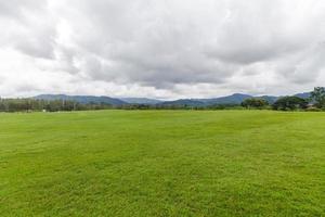 Landscape of Green lawn in a beautiful garden photo