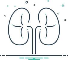 Mix icon for kidneys vector