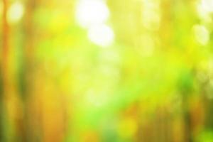 Forest as a blurred background. Abstract natural background with trees. Defocus photo