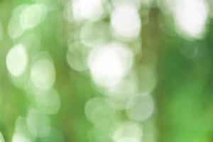 Defocus light green. Natural green blurred background. photo