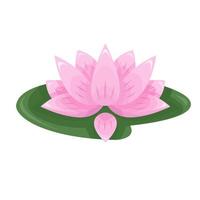 Cartoon pink lotus on a green leaf. Isolated flower on white background. Illustration in flat style. vector