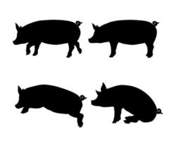 colección de siluetas negras de cerdo vector