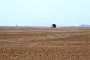 una cosechadora roja trabajando en un campo foto