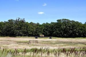 Un vagón de heno que lleva una paca cuadrada se encuentra en un campo foto