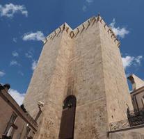 torre de elefantes en cagliari foto