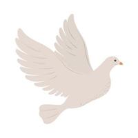 cute dove flying vector