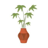 tropical plant in pot vector