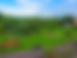 blurred blue sky green trees and brown earth background photo