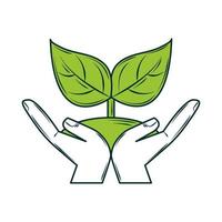 hands holds plant vector