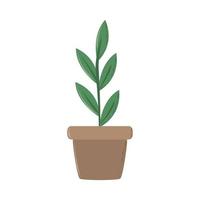 plant in pot nature vector