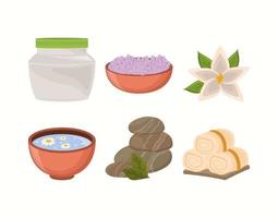 set spa treatment vector