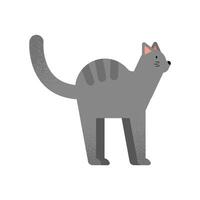 cute gray cat vector