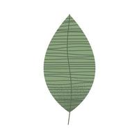 eco leave plant vector