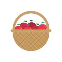 apples fruits basket vector