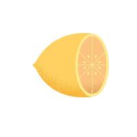 lemon citrus fruit vector