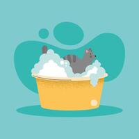 washing cat in bowl vector