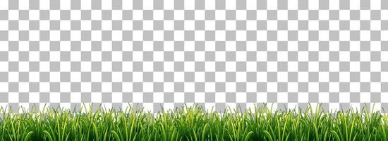 hierba verde sobre fondo de cuadrícula vector