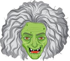 Wicked old witch face on white background vector