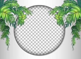 Round frame with tropical leaves template vector