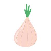 onion fresh vegetable vector