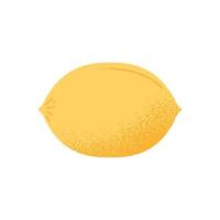 lemon fruit citrus vector