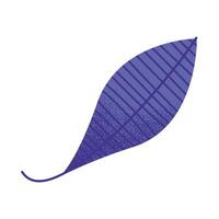 purple leaf plant vector