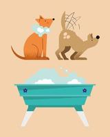 washing pets icons vector