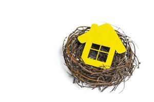 Yellow house in the nest on white isolated background
