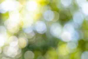 Abstract blurred nature background with bokeh for creative designs. photo