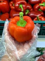 closeup hand wearing transparent gloves picking red sweet bell peppers in supermarket photo