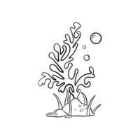 Vector drawing of seaweed in doodle style