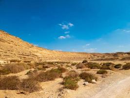 landscape of the mountains photo