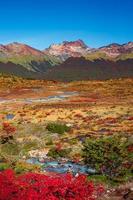 Vista sobre mágicos bosques australes, turberas y altas montañas en el parque nacional tierra del fuego, patagonia, argentina, otoño dorado y cielo azul