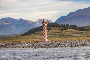 Vista panorámica de una colonia de cormoranes rey en las islas del canal beagle con un faro en la patagonia, cerca de ushuaia, argentina. foto