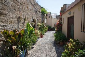 Beautiful plants and flowers in pots along a pedestrian street. Walls of Rhodes, Greece photo