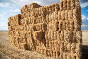 Big haystack with blue sky and clouds photo