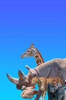 Portada con los animales salvajes más vulnerables de África, rinocerontes, guepardos, gorilas, jirafas y flamencos en el fondo degradado de cielo azul con espacio para copiar texto, primer plano, detalles.
