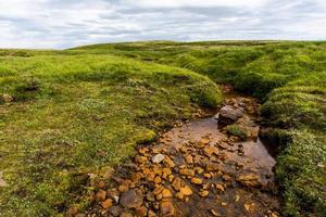 2021 08 09 Western Iceland the colors of nature photo